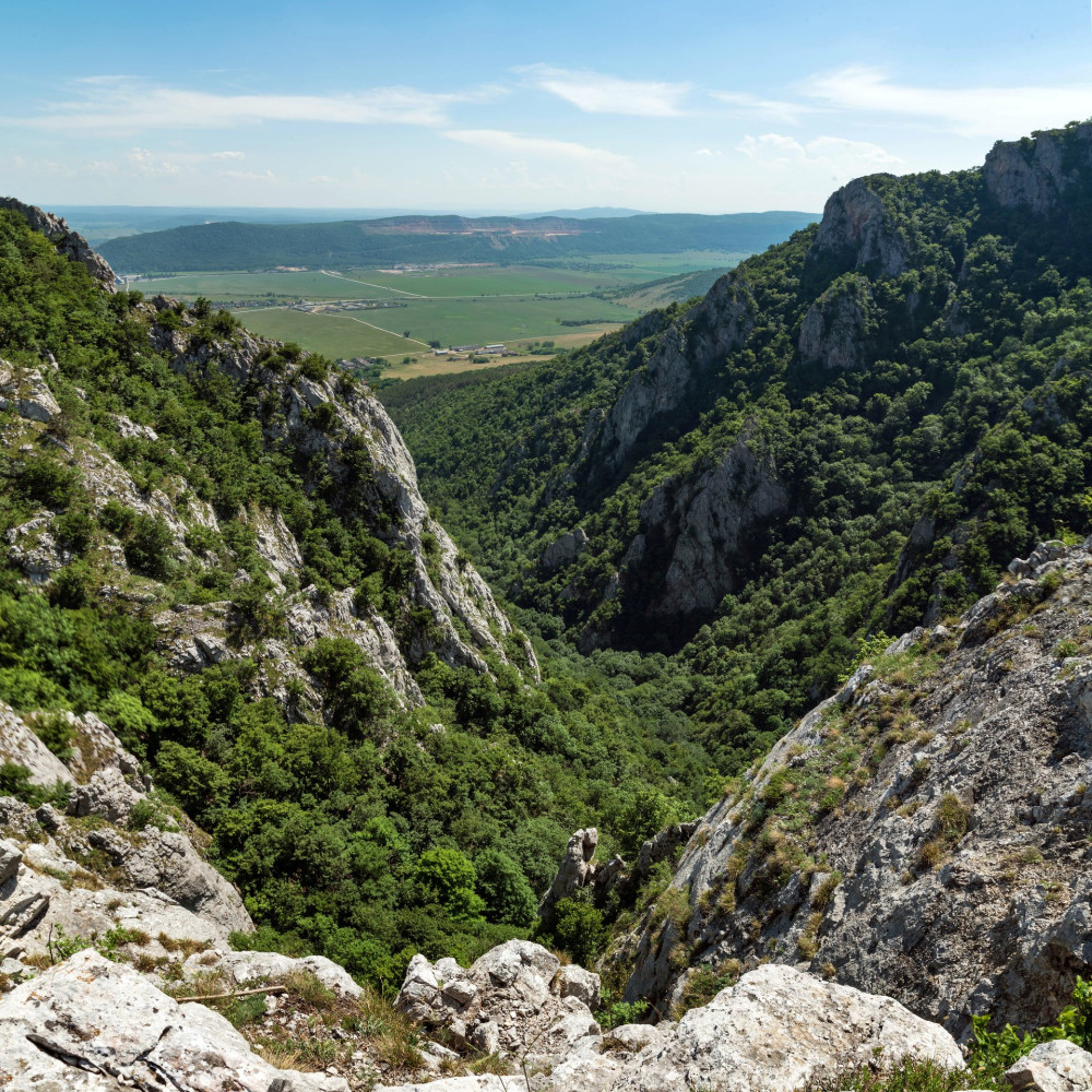 50-kilatas-szadelo-fele-FOTO-Gulyas-Attila