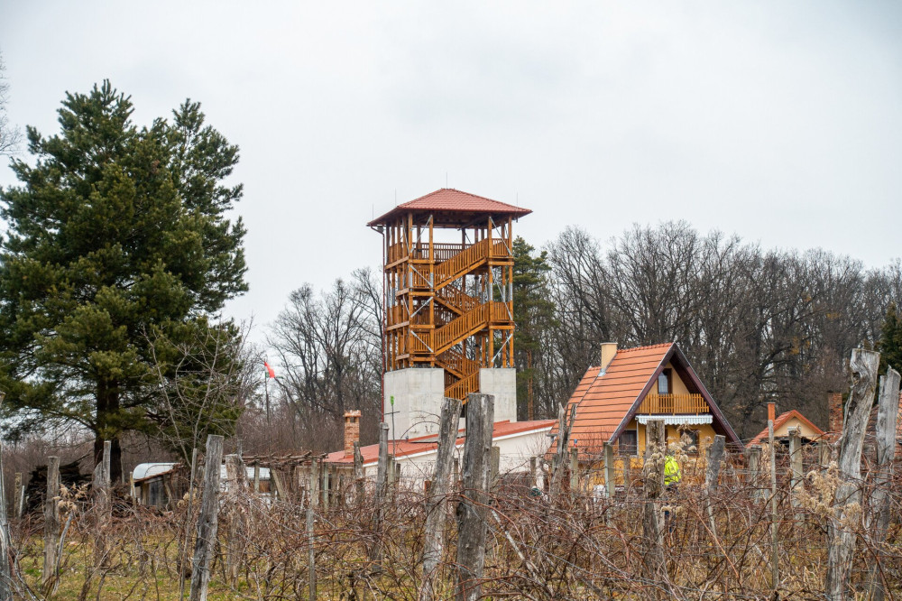 5 szőlőhegy Ciszter kilátó