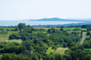 5 tökéletes kilátópont a Balatonnál, ahova bárki eljuthat