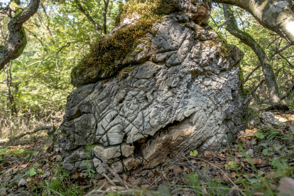 6  Kis-Szállás-hegyen látványos sziklakibúvásokat is megpillanthatunk.