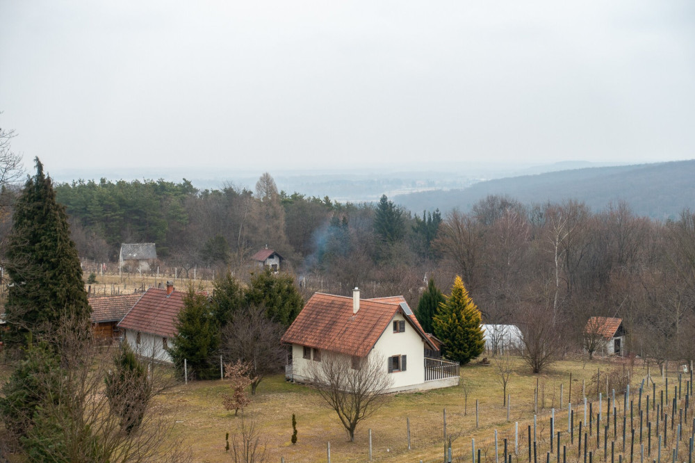 6 szőlőhegy kilátásciszter kilátóból