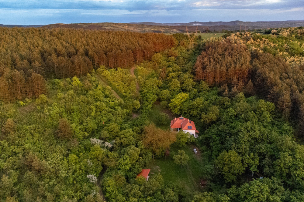 9 bozótvölgy kulcsosház kelet, foto Dömsödi Áron