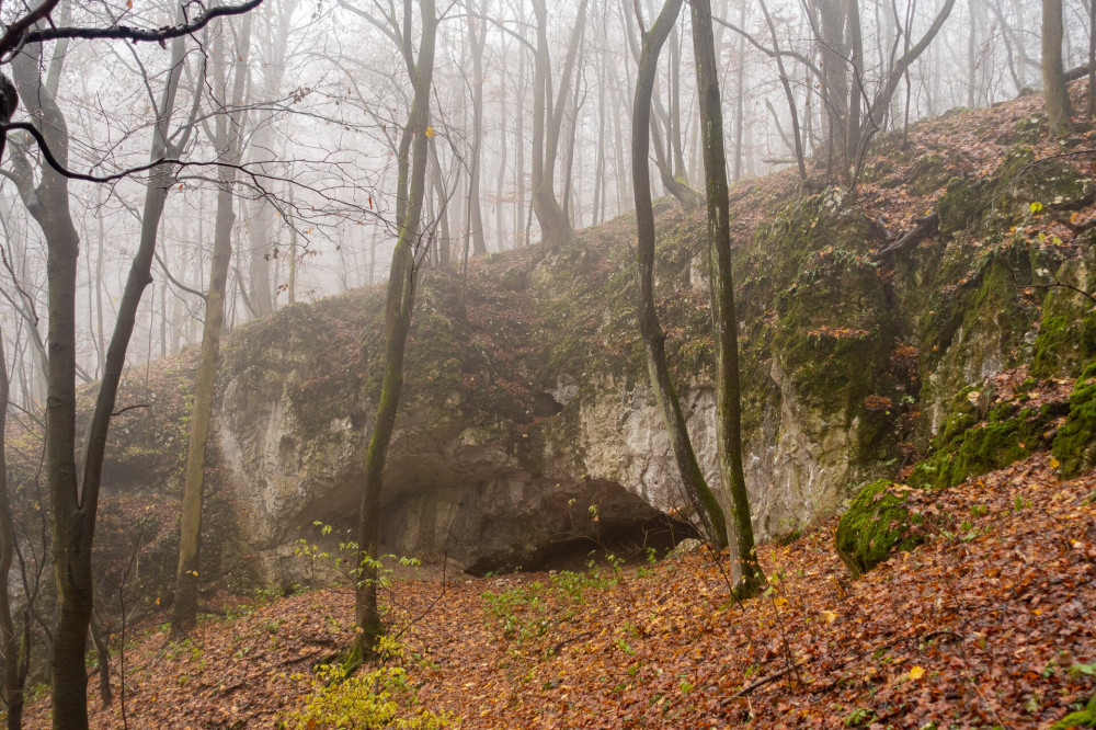 9 Felső-forrás-barlang