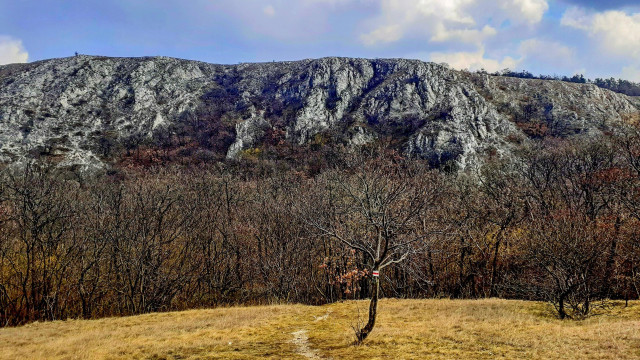 A Baglyasról a horgok közé