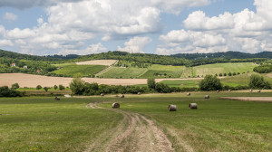 A Balaton-felvidék rejtett kincsei