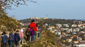 A budai Sas-hegy története és páratlan értékei