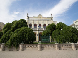 A debreceni Csokonai Színház csüngő japánakácai