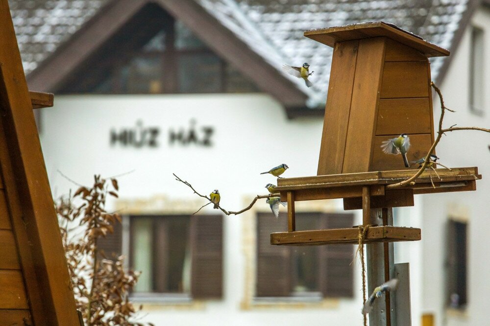 A Hiúz Házetetőjénél télen nagy a forgalom