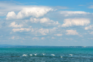 Akár már 2040-től szükség lehet a Balaton vízpótlására