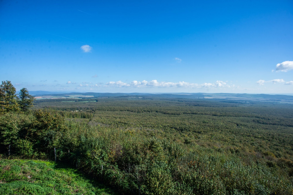 a-kinizsi-pal-kilato-panorama-reszlete