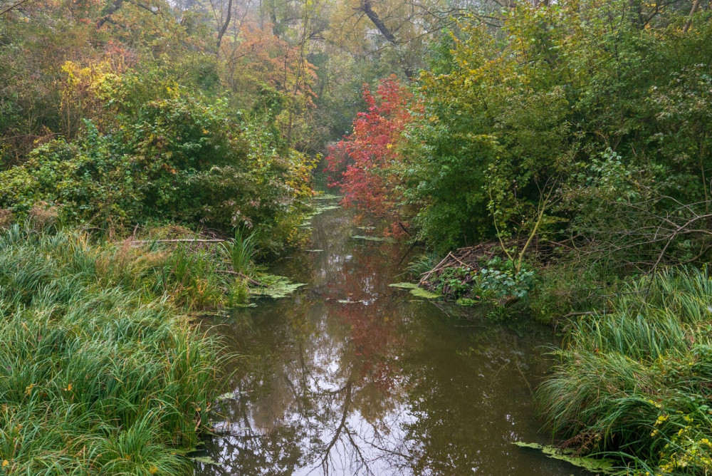 A Lébényi-csatorna