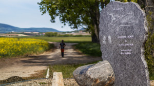 „Álmodni mertünk” – Óceánrepülőink története