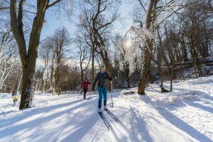 Alpesi hangulat a Normafán