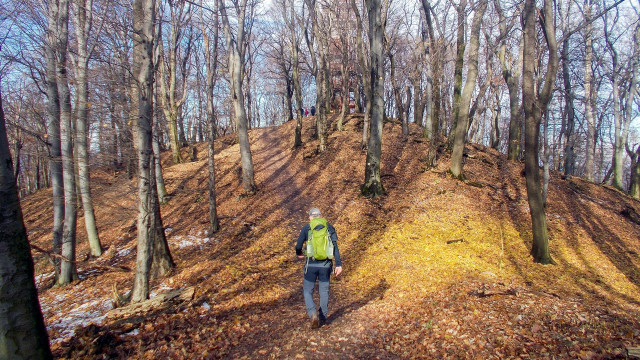 A Mecsek gyöngyszemének nevénél csak a kilátása szebb: a Zengő