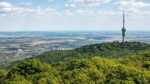 A Mecsek legszebb részeit fűzi fel a Baranya megyei túramozgalom