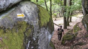 A Novohrad-Nógrád Geopark legjobb vulkántúrája