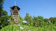 Arborétum a Tisza-parton