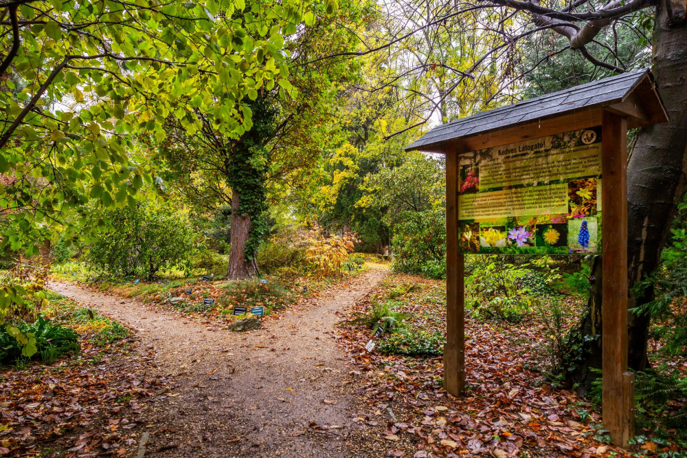 Arboretum-osveny-FOTO-Gulyas-Attila