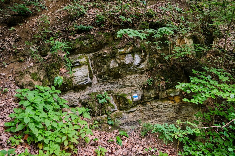  A Rockenbauer Pál Dél-dunántúli Kéktúra jelzése egy mészkőlapon