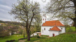 A Szekszárdi Remete berkenye lett az Év fája