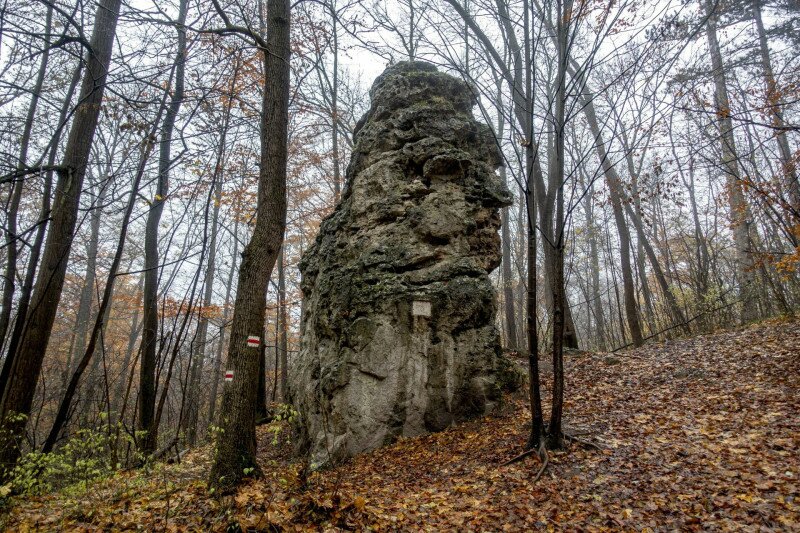 A Szent Mihály-szikla, vagy másik nevén Végvári-szikla 