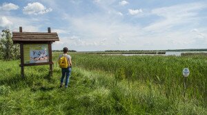 A Velencei-tó és a Dinnyési-fertő rejtett kincsei