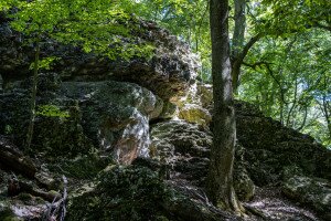 A Vértes eldugott sziklakertjében – Kő-völgy