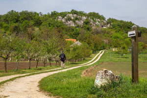 A Vértes zöld útjain