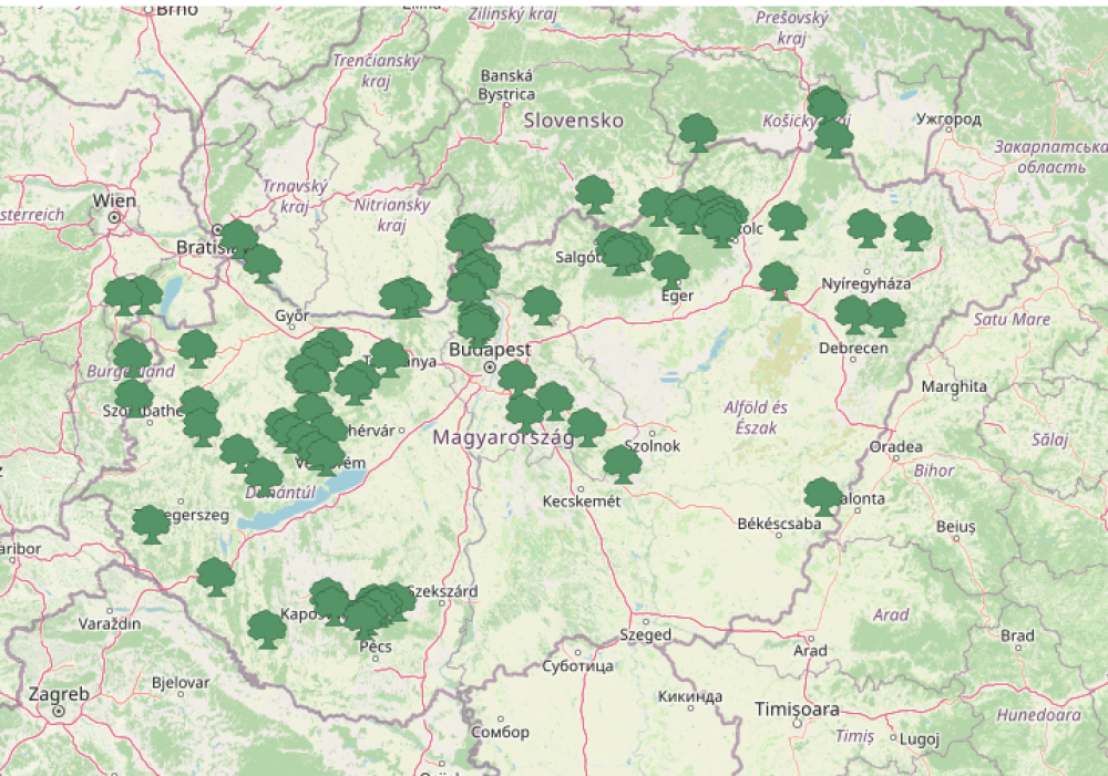 A WWF térképen gyűjtötte össze a hazai örökerdőket