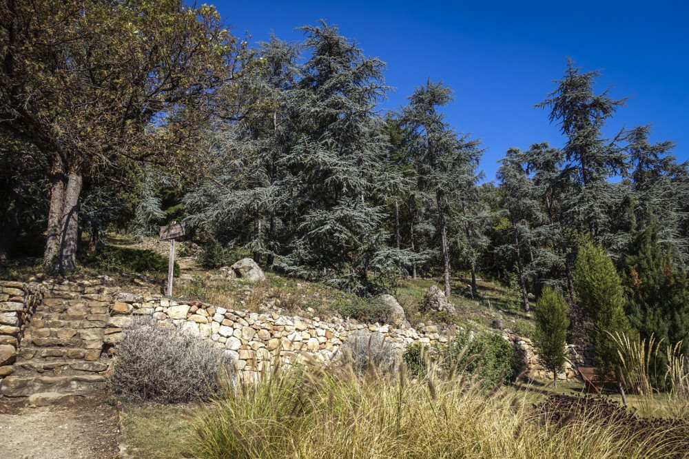 Az Öreg Arborétum