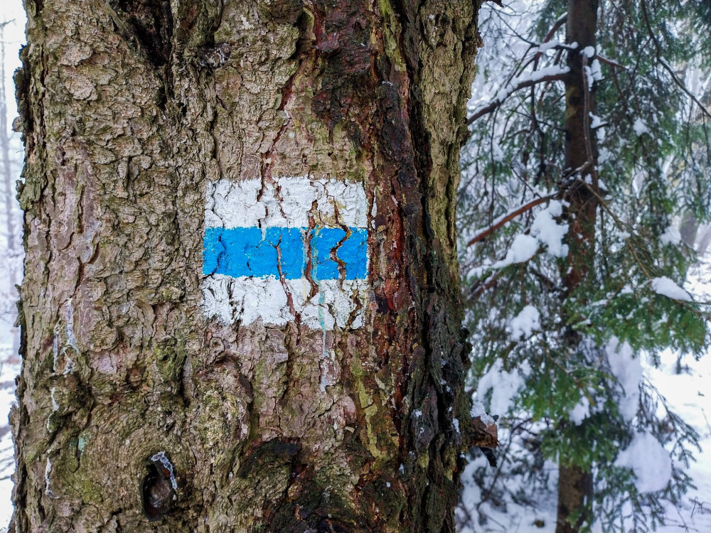 . az országos kék jelzésen, mintegy 2.2 km az út a Hörmann-forrástól az Írott-kőre