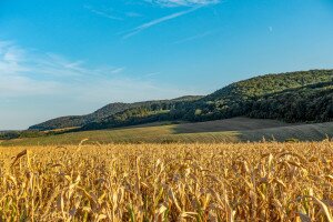 A Zuppa, a Lófingató és a Somlyó, avagy a Déli-Gerecse panorámás magaslatai