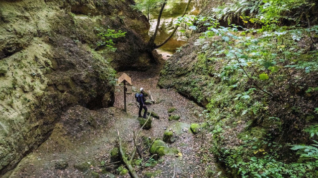 Bámulatos folyó vájta ősvilág - Páris-patak völgye