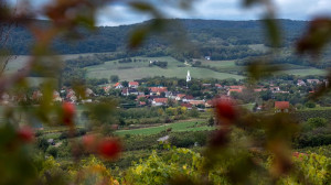 Barangolás a Nivegy-völgyben