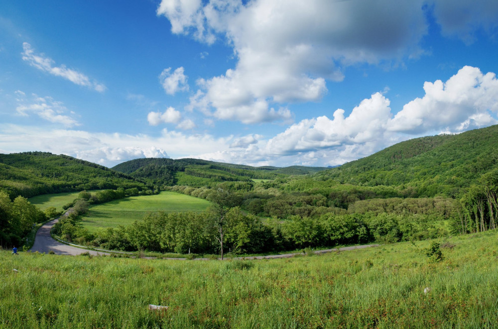 Batori-orszagut-FOTO-Gulyas-Attila