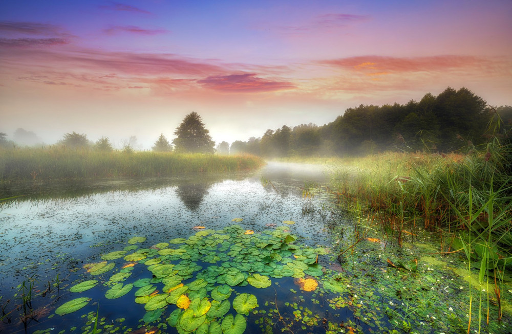 Beautiful foggy morning on the river banks