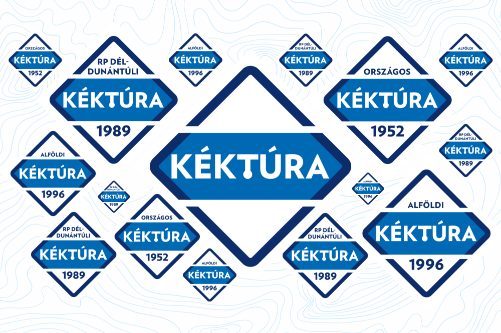 bemutato-cikk-lead-logok