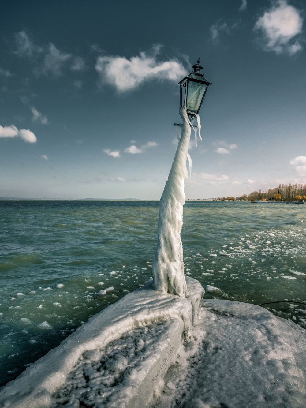 Böröczky Bulcsú 04 Balatonlellei virág strand