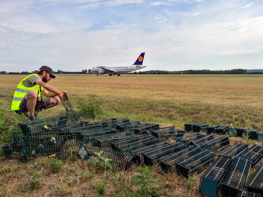  Budapest Airport