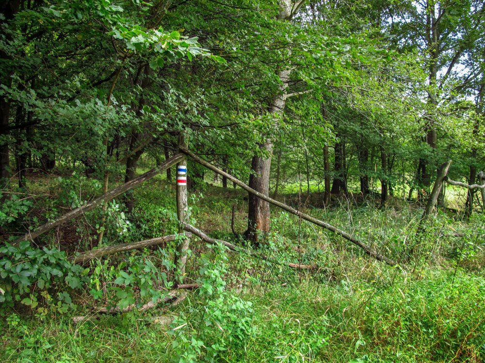 bukki-puszta FOTO Zwickl Bernadett