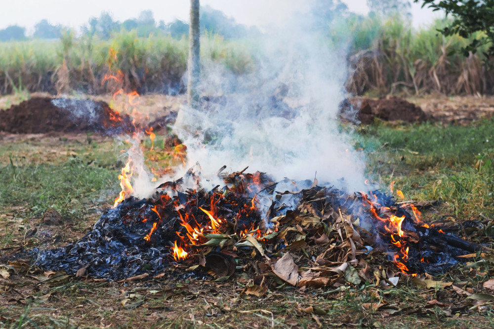 burn fire dry leaf in garden