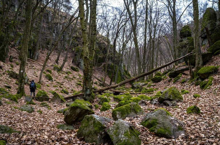 Vadregényes szurdokvölgyek a Bükkalján – 2. rész