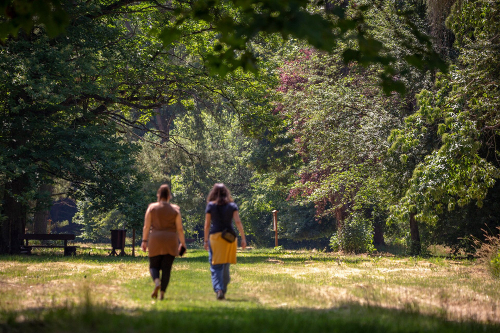 Cégénydányádi Kölcsey-Kende-kastély parkja