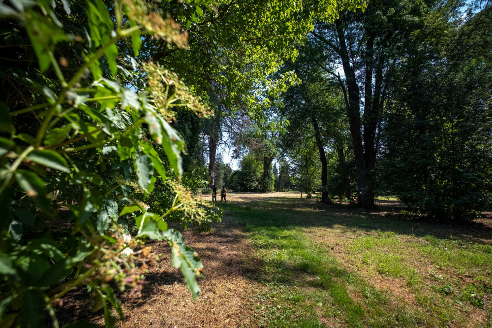 Cégénydányádi Kölcsey-Kende-kastély parkja