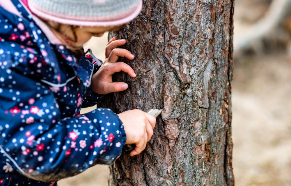 Close-up of a caucasian child girl in winter clothing playing with the bark of a pine tree and a small piece of wood. Seen in Germany in February