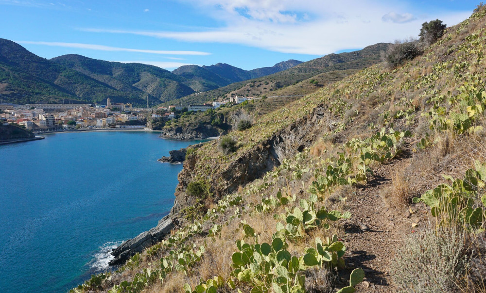 Coast near Portbou town Spain Costa Brava