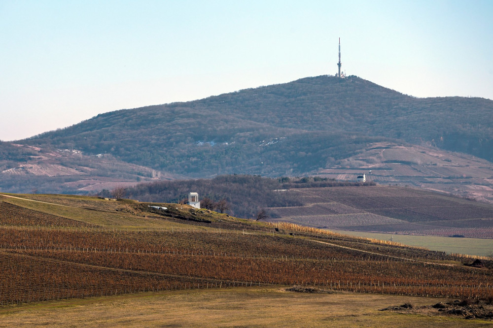 Disznoko Kilato-Szt-Terez-kapolna-Tokaj-hegy