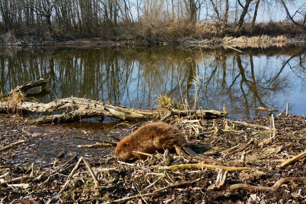 _DSC0045 FOTO Czabán Dávid