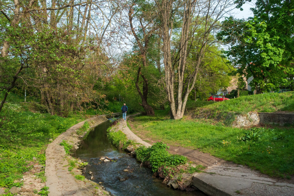 DSC05582_BukkosPatakSzentendre