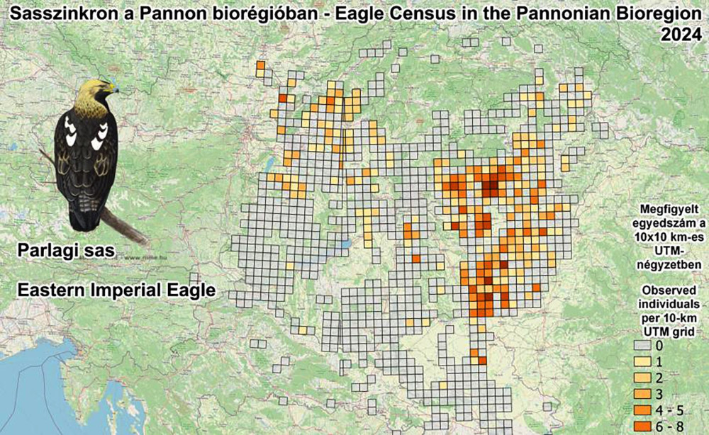 Eagle count map 2024 - e imperial eagle